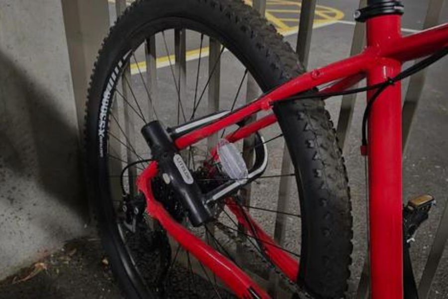 LITELOK X1 Saves Mountain Bike in East London #17